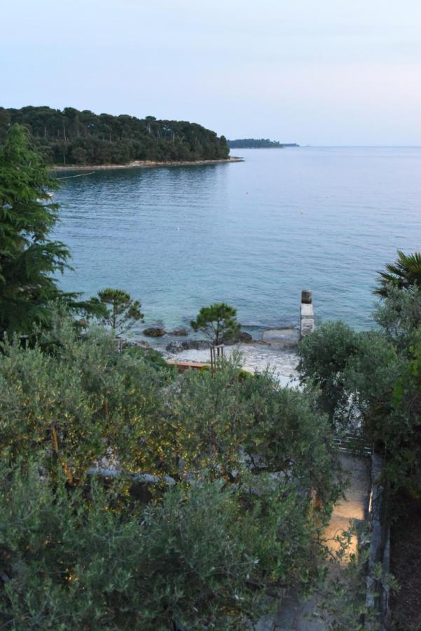Buric House - M suite - 95m2&54 m2 terrace Rovinj Exterior foto